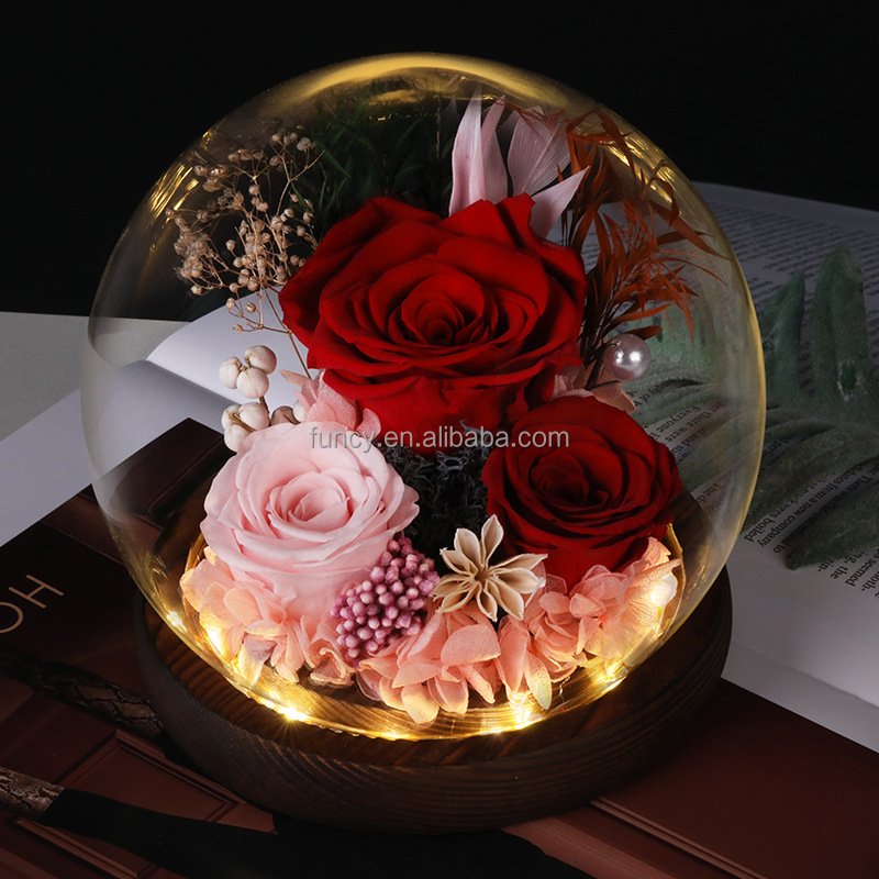 Personalized Valentine's Day Gift Led Light Glass Dome Natural Immortal Long lasting Eternal Forever Preserved Flower Roses