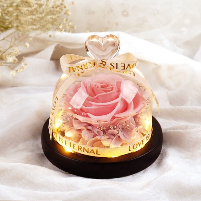 Preserved Flowers Plants Heart Design Heart Shape Immortal Flower Valentine's Day Eternal Rose Preserved Flower In Glass Dome