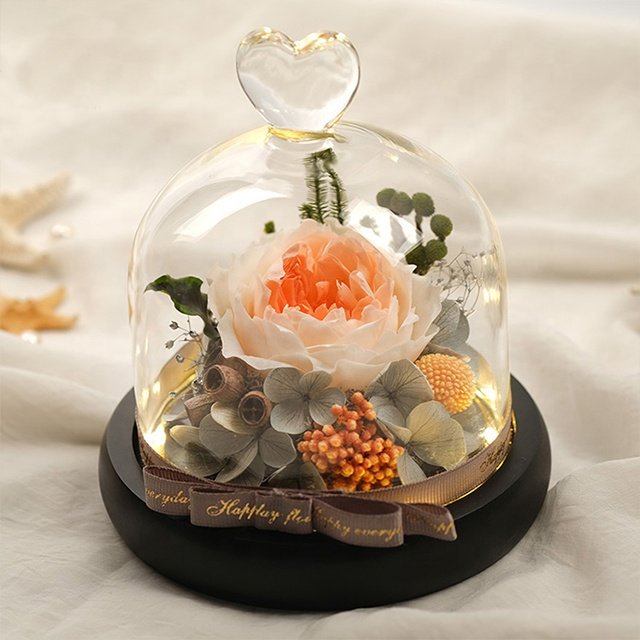 Preserved Flowers Plants Heart Design Heart Shape Immortal Flower Valentine's Day Eternal Rose Preserved Flower In Glass Dome