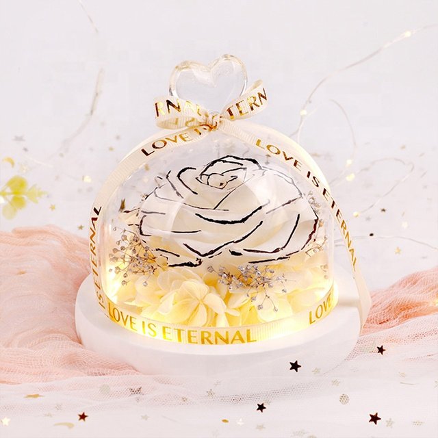 Preserved Flowers Plants Heart Design Heart Shape Immortal Flower Valentine's Day Eternal Rose Preserved Flower In Glass Dome