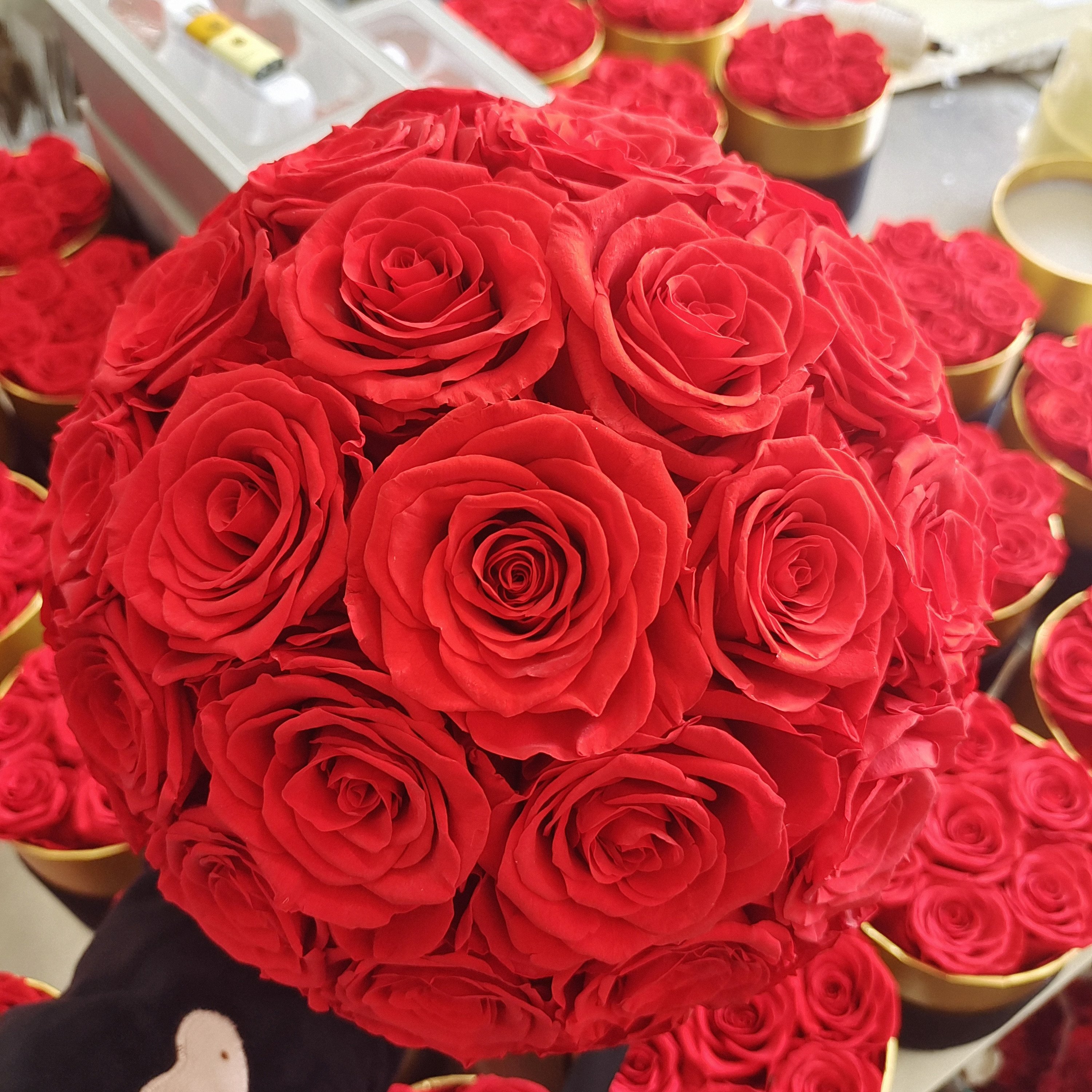 Wholesale Eternal Preserved Rose Mushroom Head Bouquet Roses In Box Flowers Preserved Rose