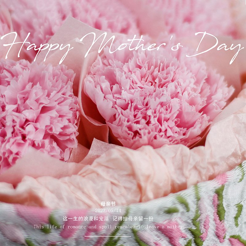 TC Wholesale Real Carnation Finished Bouquet Valentine's Day Mothe's Day Gift Preserved Flowers Carnations For Mum