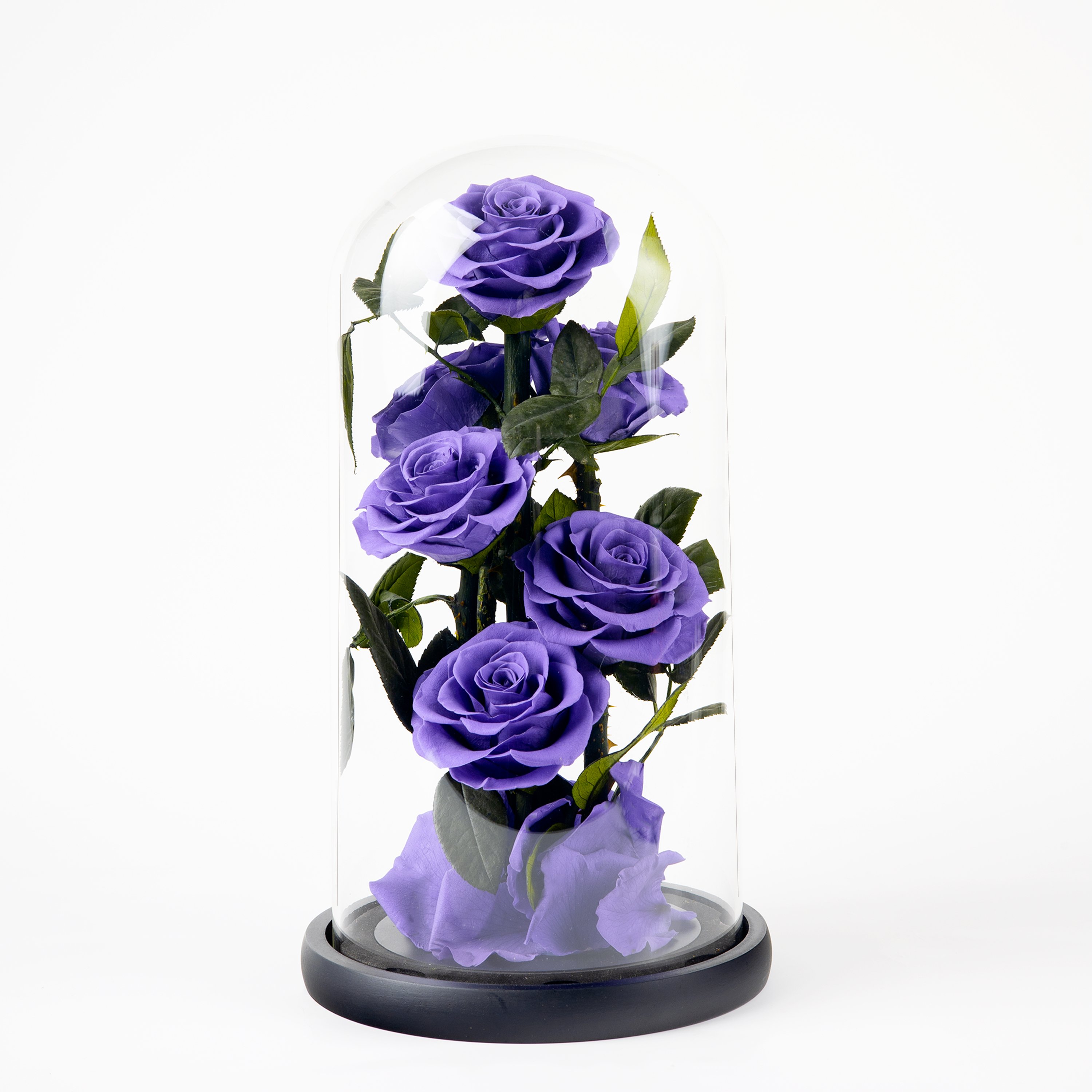 High quality Six Roses series Birthday gift Wedding Anniversary Preserved flower glass decoration