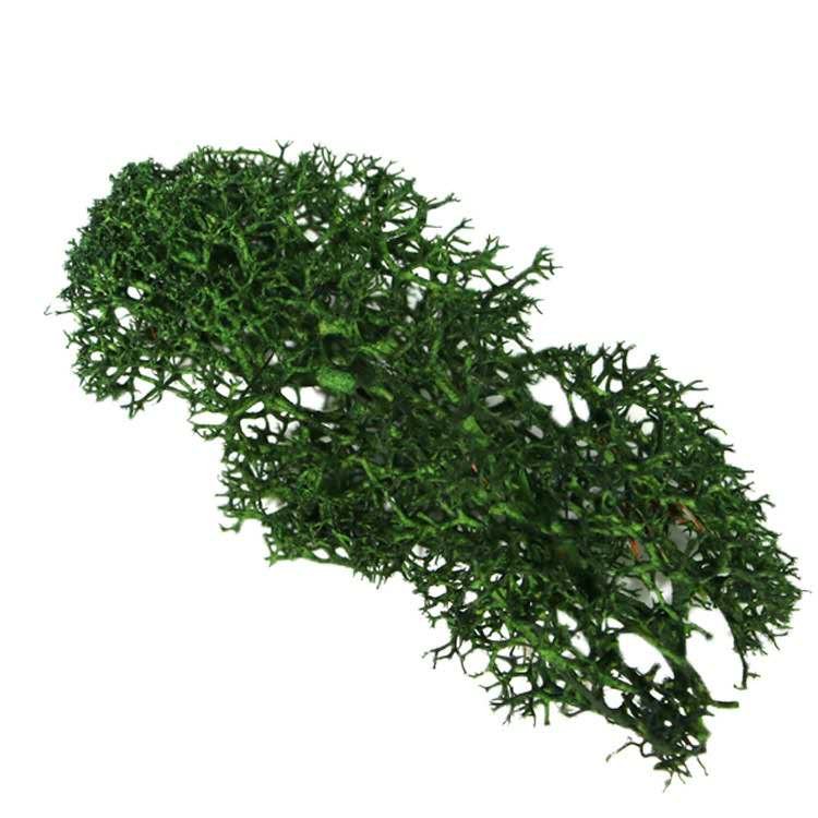 Wholesale factory selling decoration wall moss art natural green preserved moss