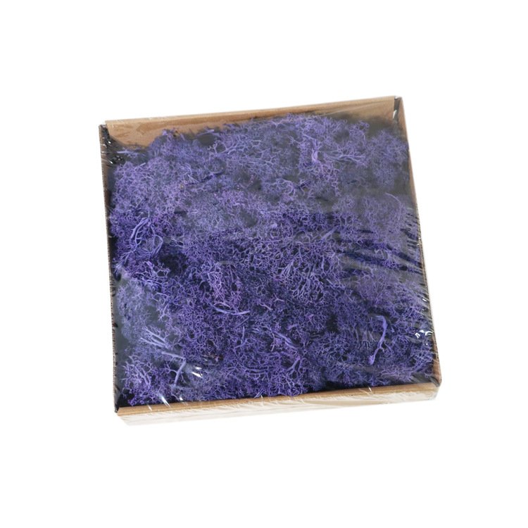 Wholesale factory selling decoration wall moss art natural green preserved moss