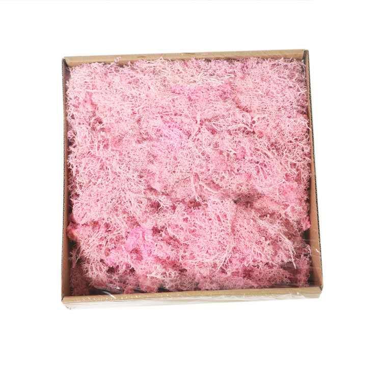 Wholesale factory selling decoration wall moss art natural green preserved moss