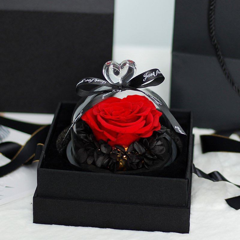 China's largest preserved rose supplier Valentine Gifts Decorative Flowers with Led light Rose in Glass Dome