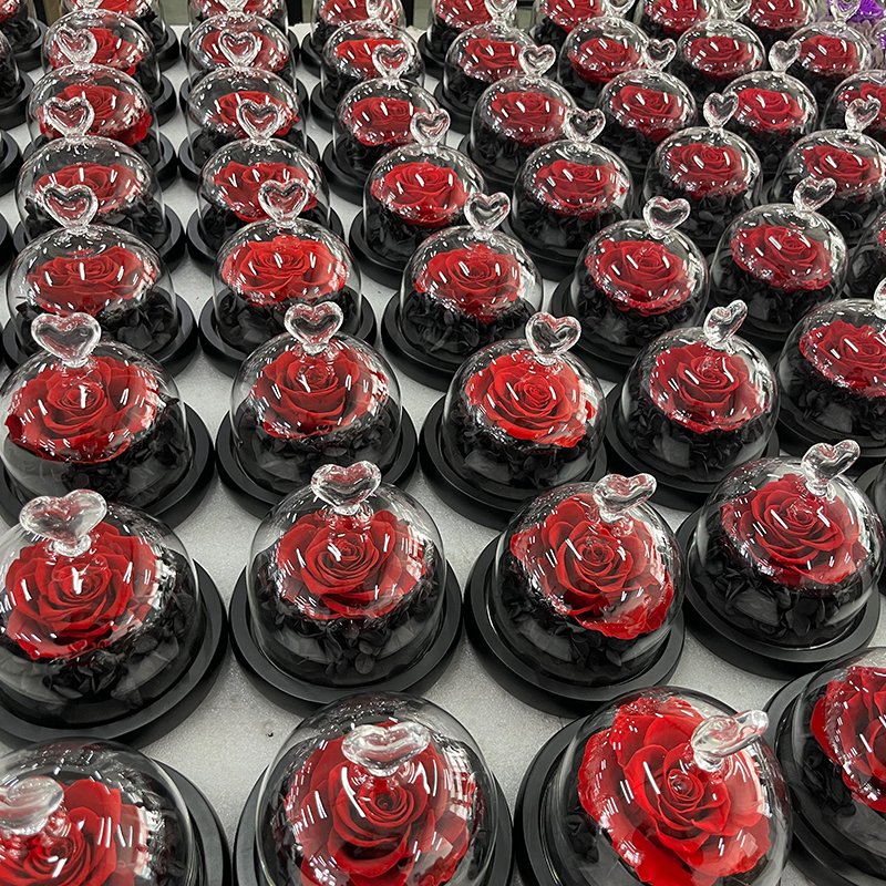 China's largest preserved rose supplier Valentine Gifts Decorative Flowers with Led light Rose in Glass Dome