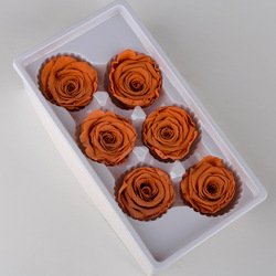 tangerine