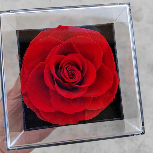 Wholesale Valentine's Day gifts natural preserved flower jewelry rose in glass/box for necklace Festival gifts &hand gifts