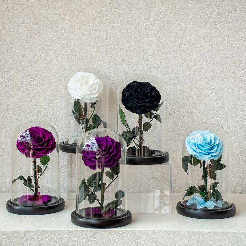 High Grade Gift box Eternal Rose Preserved Flower In Glass Dome For Mother's Day San Valentines Day Mother's day Gifts