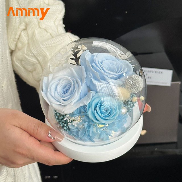 AM-PFA28A Ammy Valentine's Day gifts 3 preserved rosess in glass ball eternal flower preserved roses gift boxes for present
