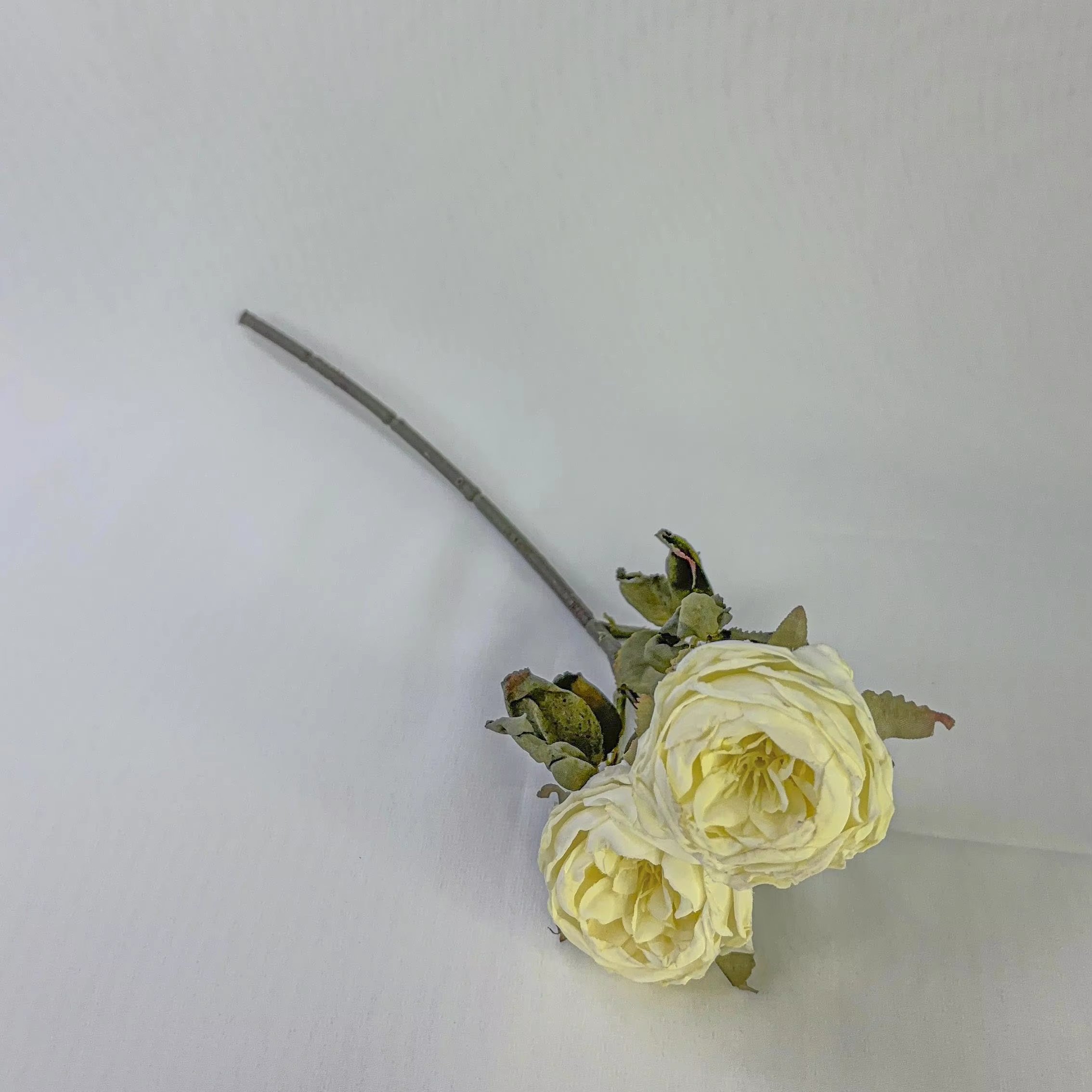 New products Handmade Forever Preserved Roses Gift for Girlfriend Mother's Day Wedding Birthday decor
