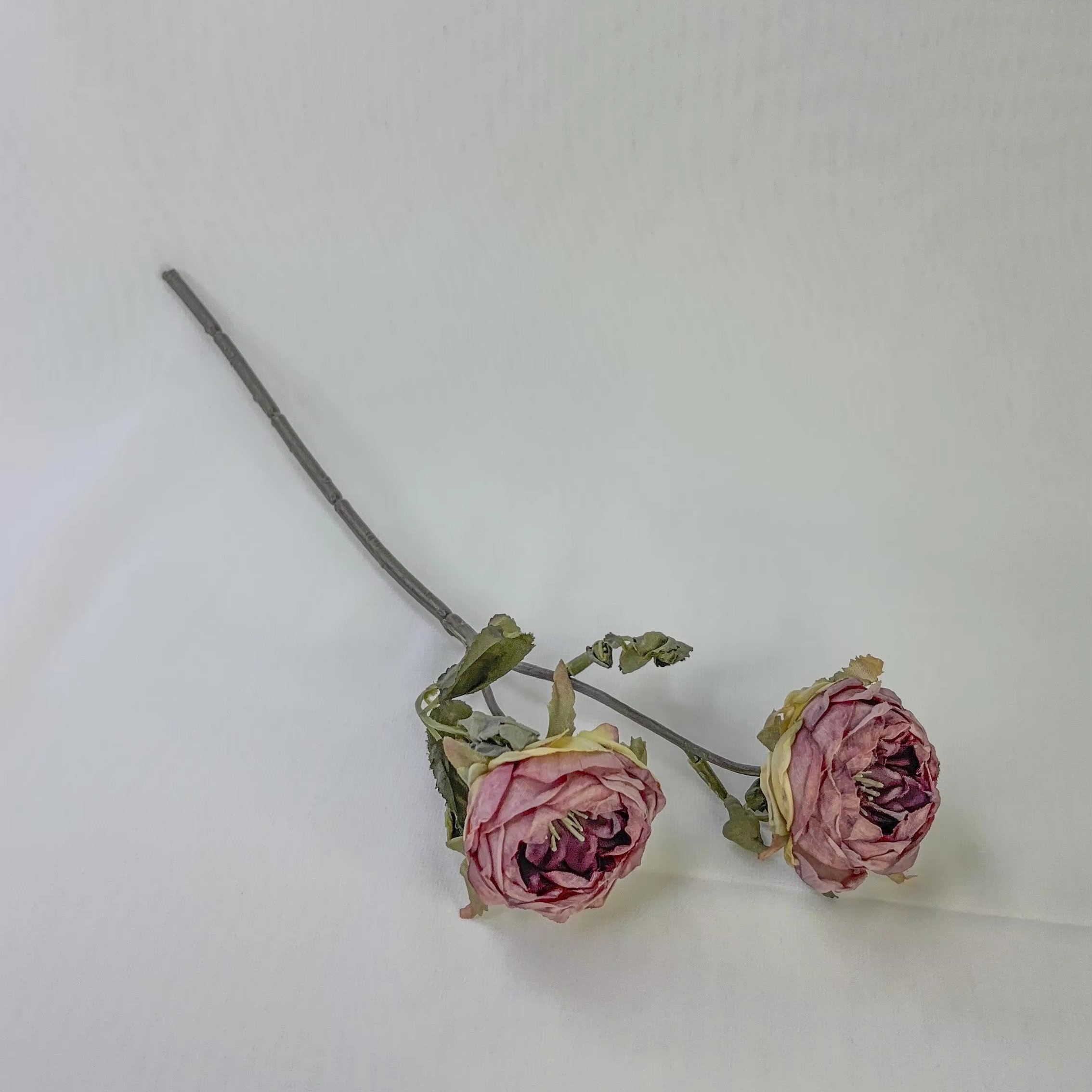 New products Handmade Forever Preserved Roses Gift for Girlfriend Mother's Day Wedding Birthday decor