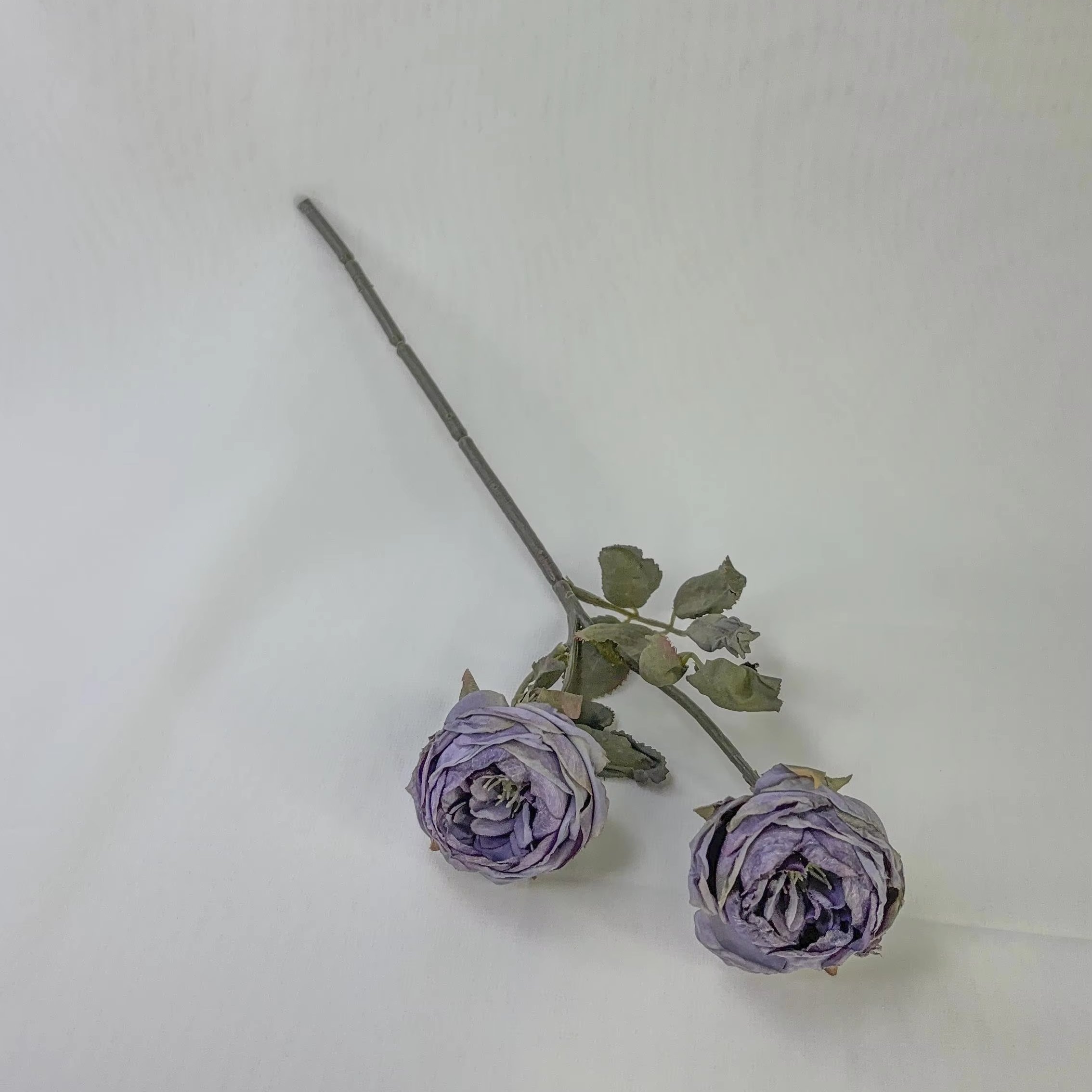 New products Handmade Forever Preserved Roses Gift for Girlfriend Mother's Day Wedding Birthday decor