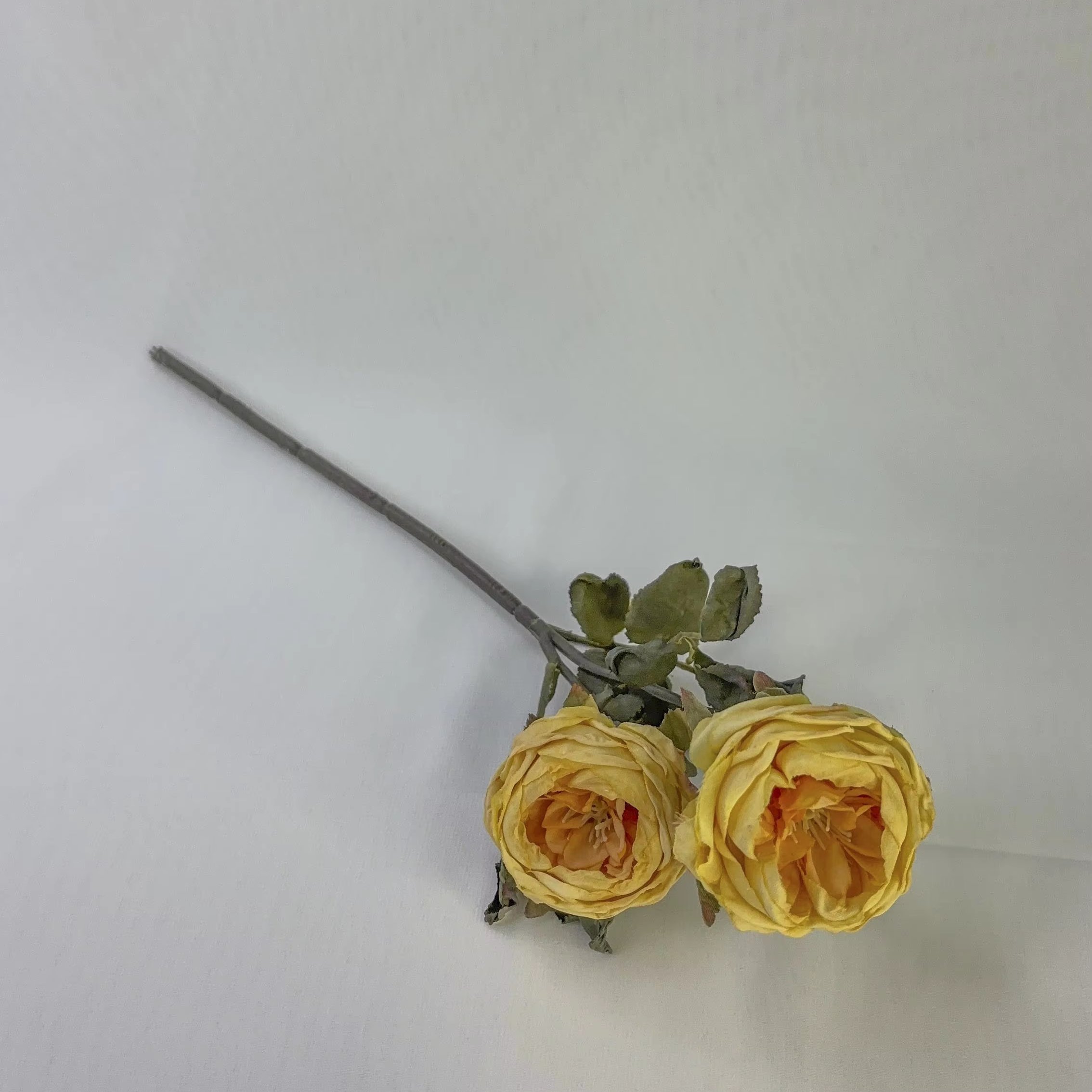New products Handmade Forever Preserved Roses Gift for Girlfriend Mother's Day Wedding Birthday decor