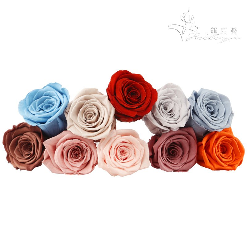 High Quality premium class Preserved Flowers Flower Immortal Rose 2-3CM diameter gift Eternal Life Flower Material gift box