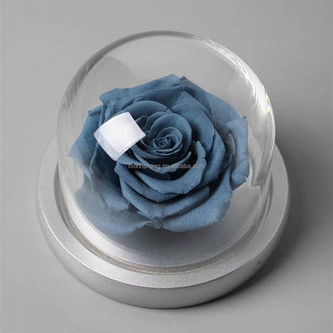 Delicate Preserved Rose in Glass Dome Eternal Preserved Flowers Gift Box for Christmas Graduation Decorations