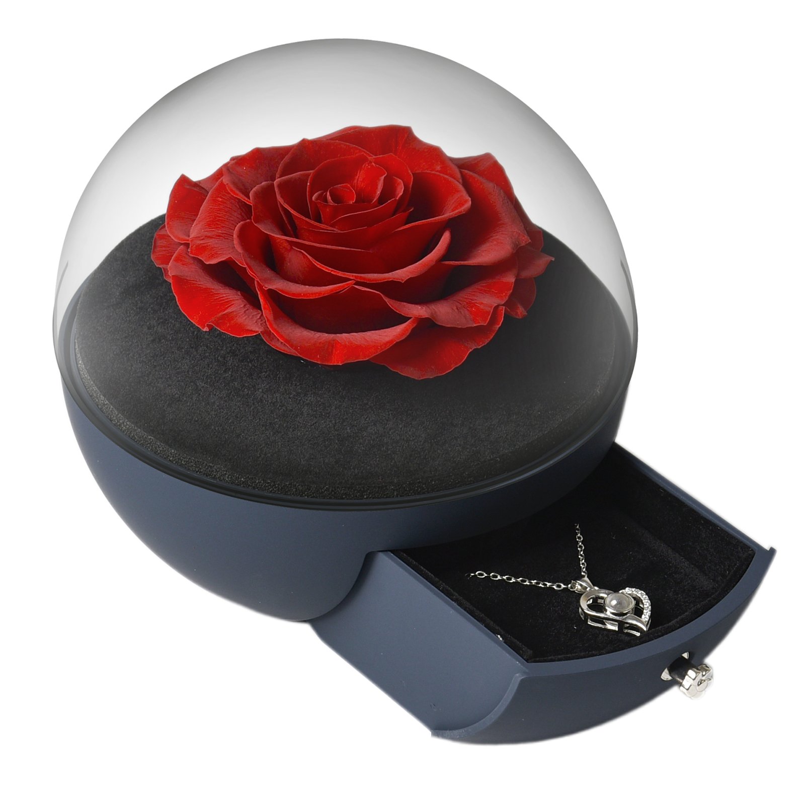 Promotional Various Using preserved flowers and plants eternal rose bear with necklace preserved roses
