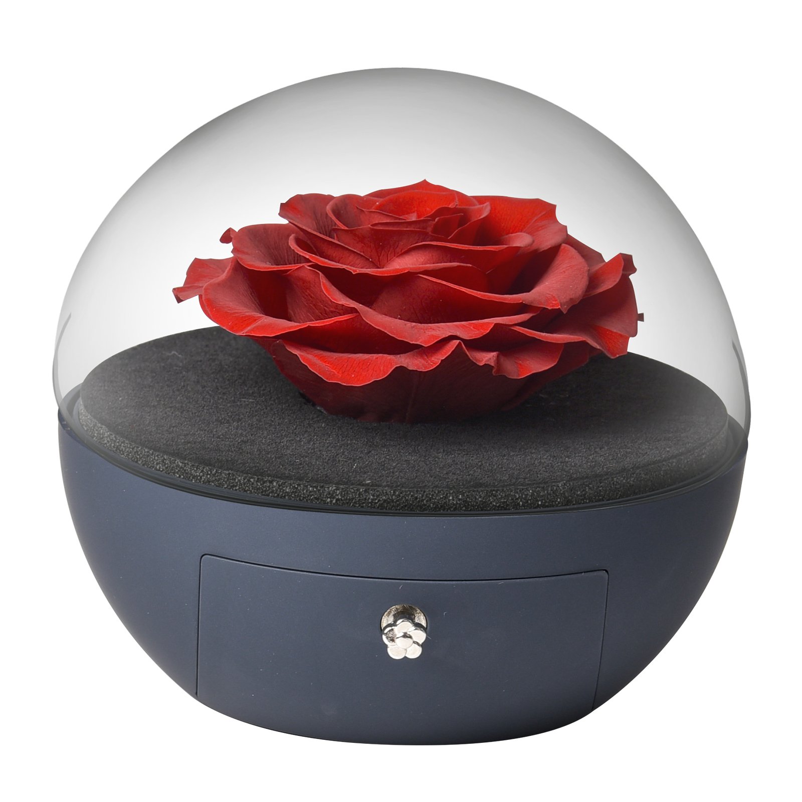 Promotional Various Using preserved flowers and plants eternal rose bear with necklace preserved roses