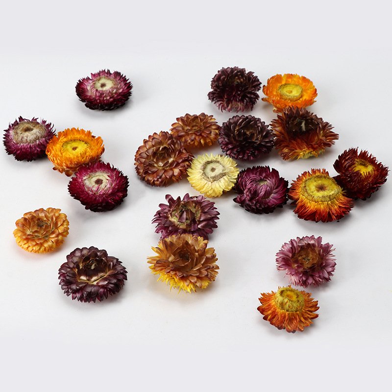 BLH Wholesale Box Random Mix Dried Flower Plant For Resin Jewelry Dry Pressed Flowers chrysanthemum Accessories Natural Best gift for Valentine's day