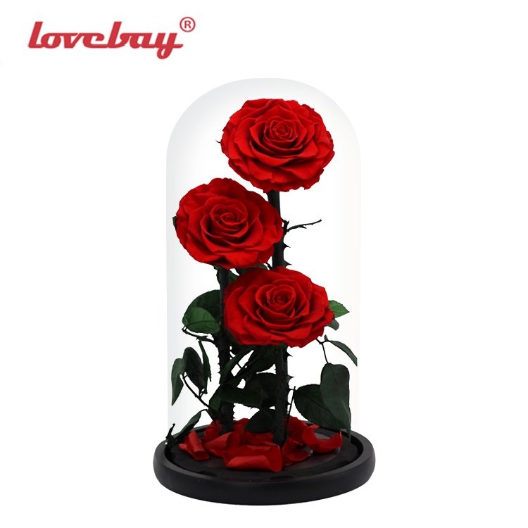 Lovebay Real Rose with LED Light Preserved Roses in Glass Eternal Flower Dome for Girl Woman Red Valentine's Day Gift Ainy Rose