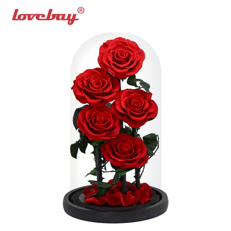 Lovebay Real Rose with LED Light Preserved Roses in Glass Eternal Flower Dome for Girl Woman Red Valentine's Day Gift Ainy Rose
