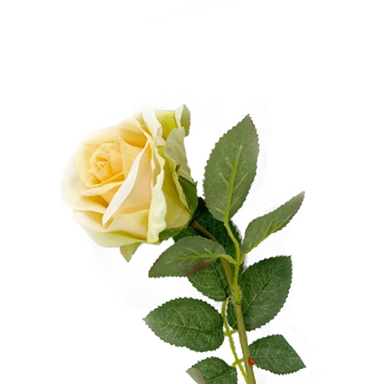 High Quality 50cm Yellow Artificial Rose Flowers for Wedding Dress Decoration Small Single Touch Preserved Plants