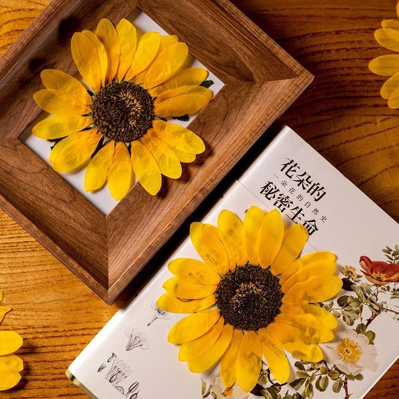 MNR1988 Dried Sunflower heads for Resin Pendant Necklace Craft DIY