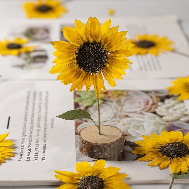 MNR1988 Dried Sunflower heads for Resin Pendant Necklace Craft DIY