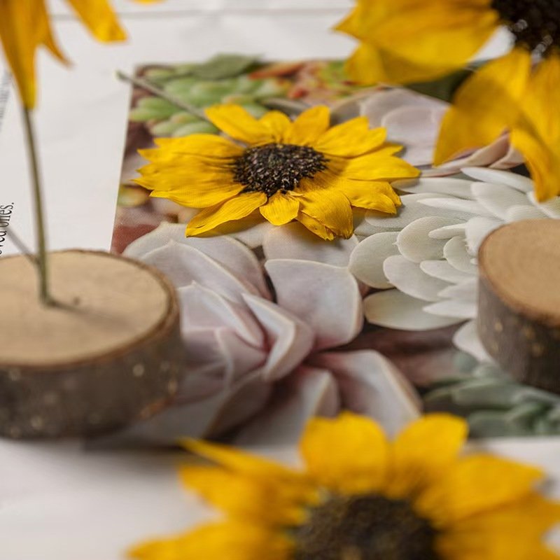 MNR1988 Dried Sunflower heads for Resin Pendant Necklace Craft DIY