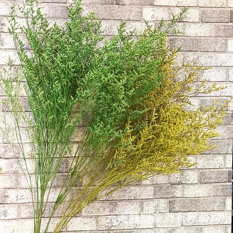 Wholesale natural preserved Limonium grass, German Statice, Sea lavender flower for floral arrangement