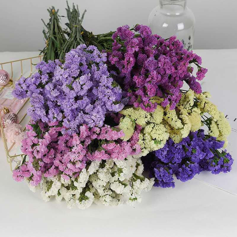 Yunnan Real Natural Decorative Flower Preserved Forget Me Not Myosotis Eternal Limonium for Festival Decoration