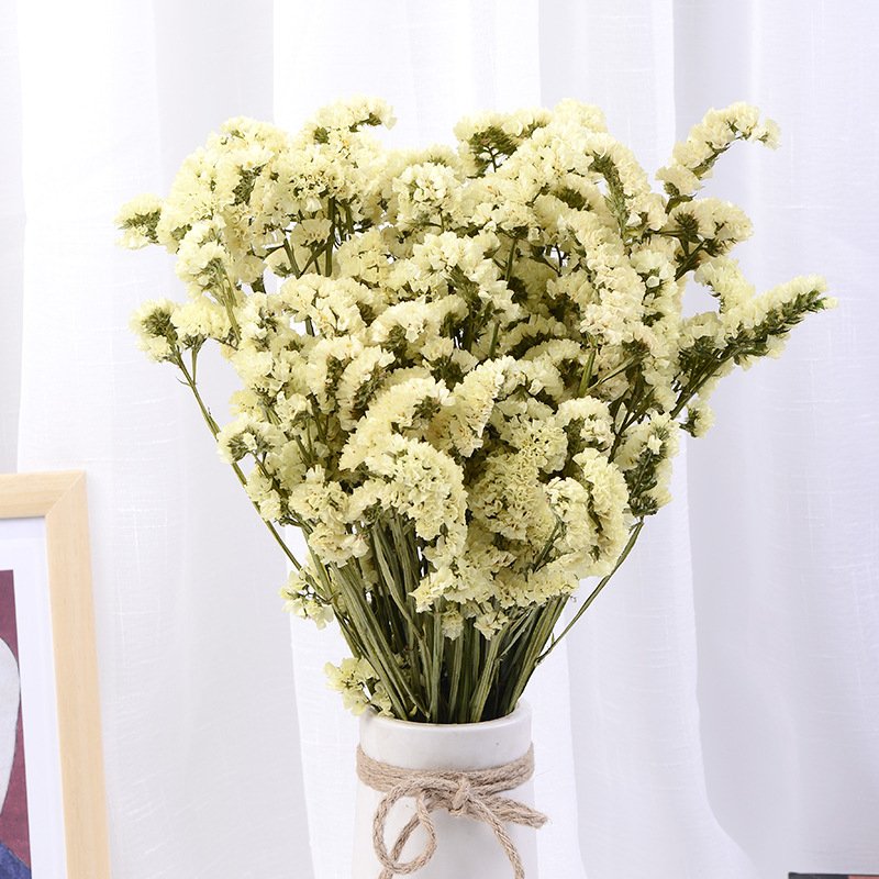 Yunnan Real Natural Decorative Flower Preserved Forget Me Not Myosotis Eternal Limonium for Festival Decoration
