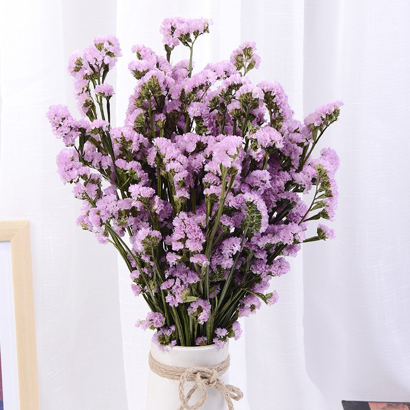 Yunnan Real Natural Decorative Flower Preserved Forget Me Not Myosotis Eternal Limonium for Festival Decoration