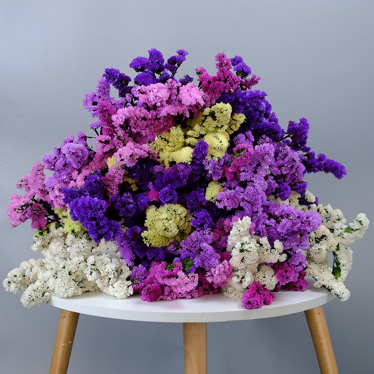 Yunnan Real Natural Decorative Flower Preserved Forget Me Not Myosotis Eternal Limonium for Festival Decoration
