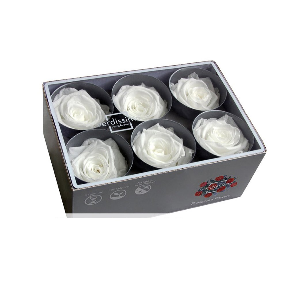 New Collection Luxury Stabilized White Rose Beautiful Natural Rose Available At Custom Size