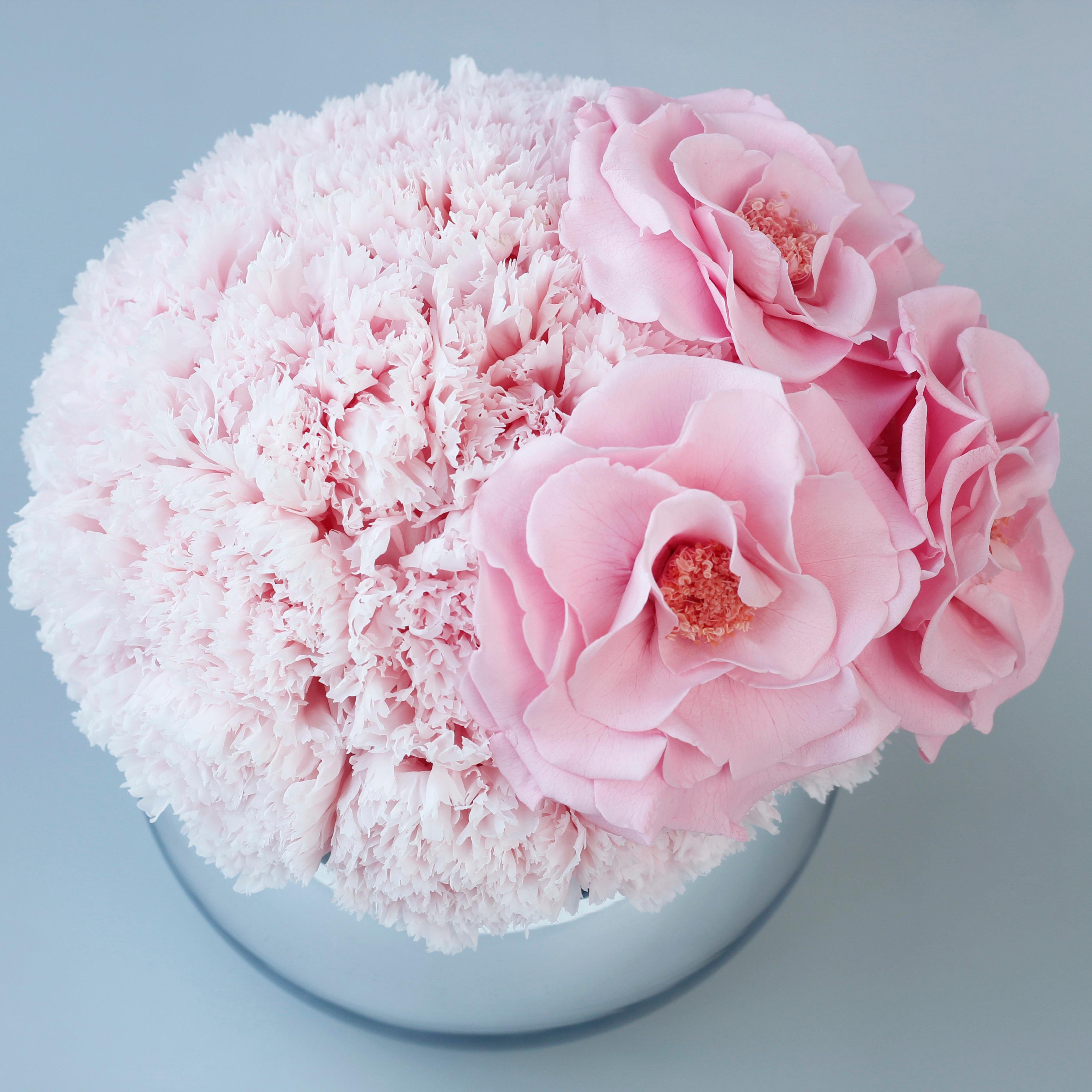 Lovebay Home Deco Gifts Pink Preserved Rose Flowers Natural Forever Eternal Flowers Longlife Real Preserved Roses in a Vase