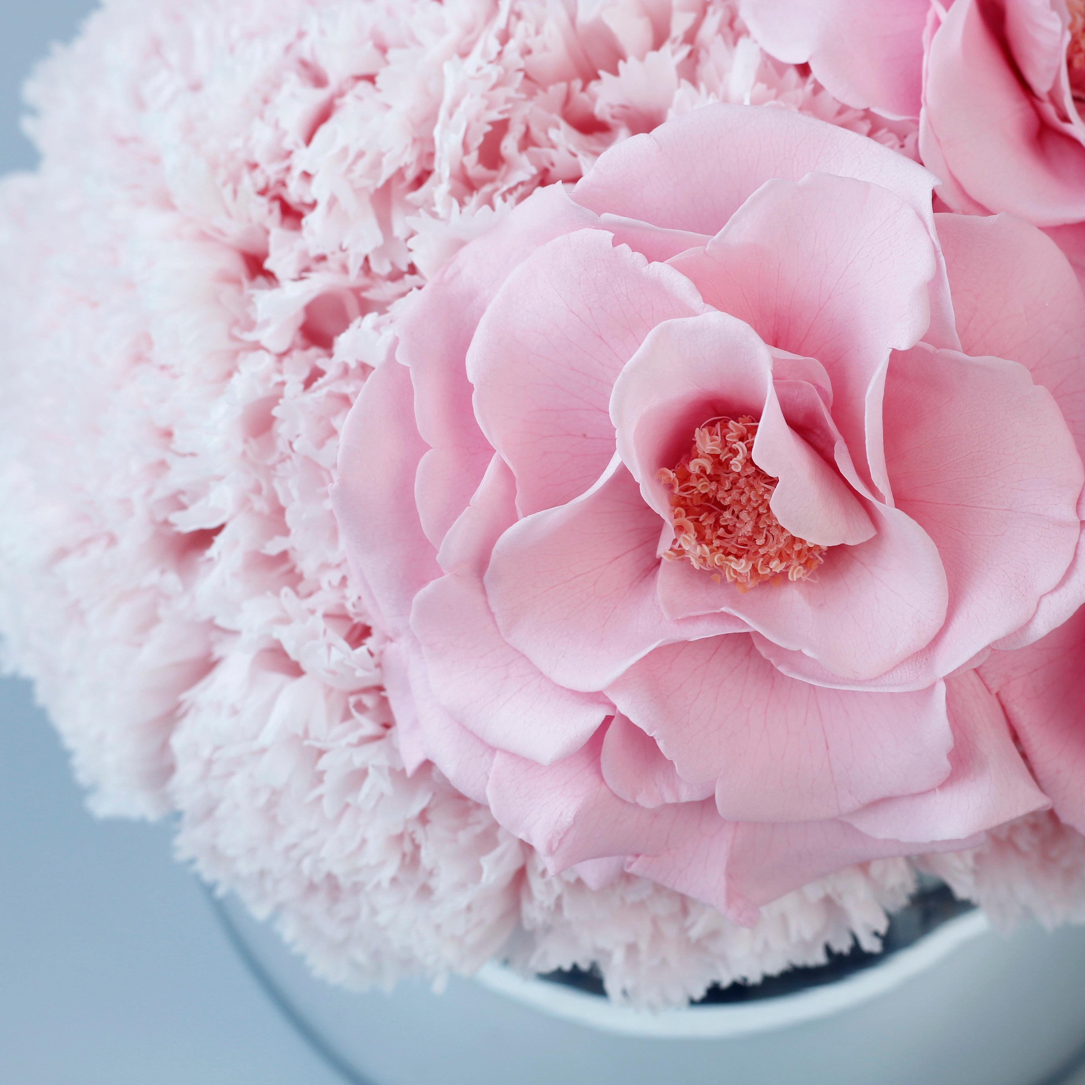 Lovebay Home Deco Gifts Pink Preserved Rose Flowers Natural Forever Eternal Flowers Longlife Real Preserved Roses in a Vase