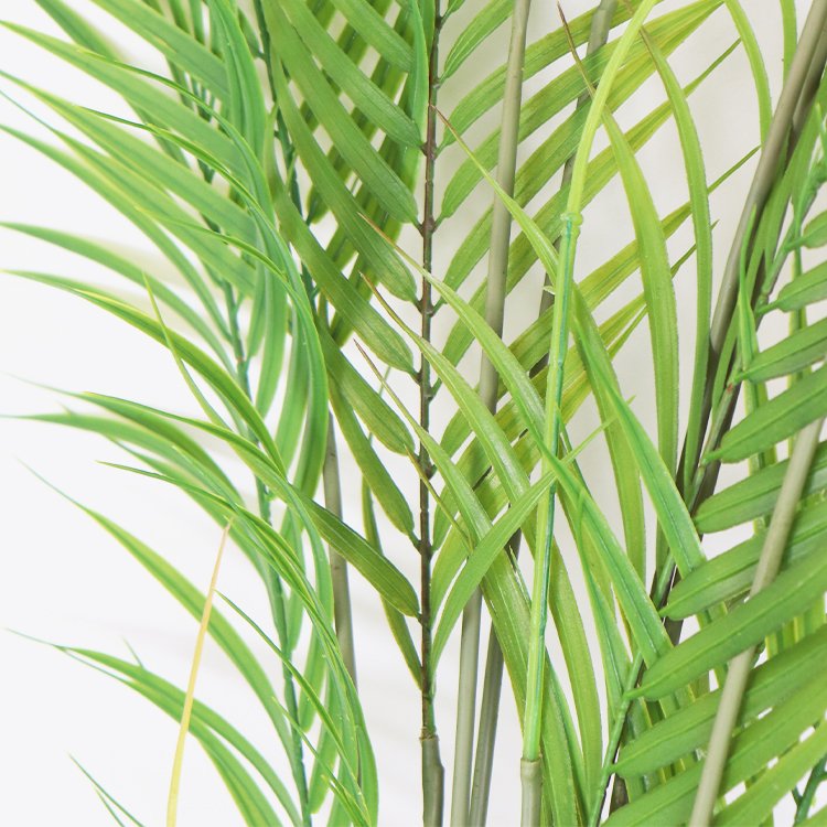 Manufacturer's Direct Sales 62cm Chinese Fan Palm Wreath Small Bundle of Decorative Preserved Flowers & Plants