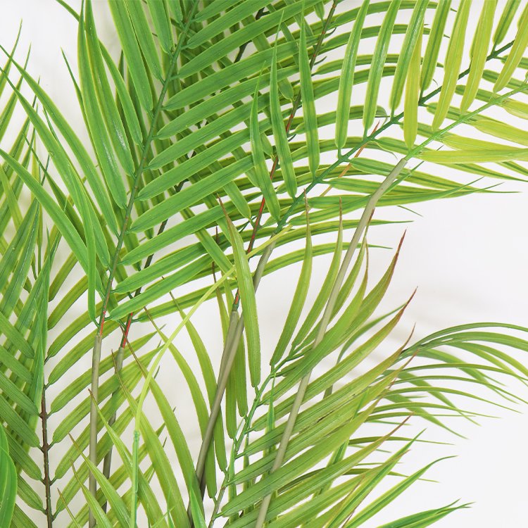 Manufacturer's Direct Sales 62cm Chinese Fan Palm Wreath Small Bundle of Decorative Preserved Flowers & Plants