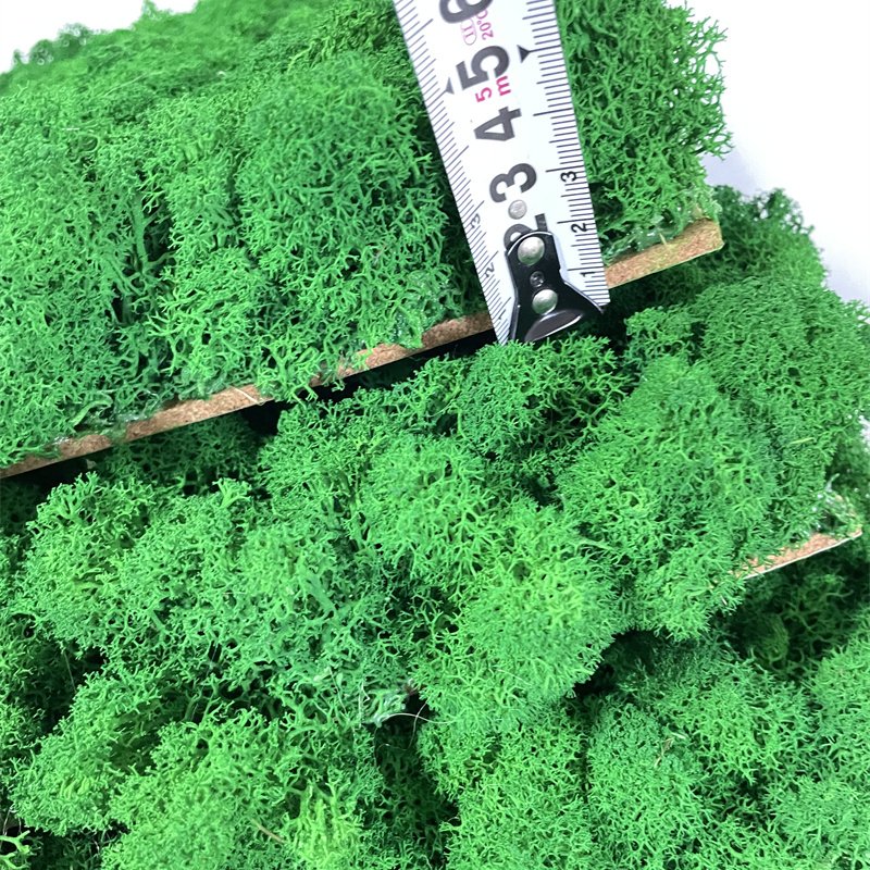 Green Moss Wall Stabilized Icelandic Lichen Reindeer Preserved Moss For Interior Decoration Logo Wall Terrariums Craft