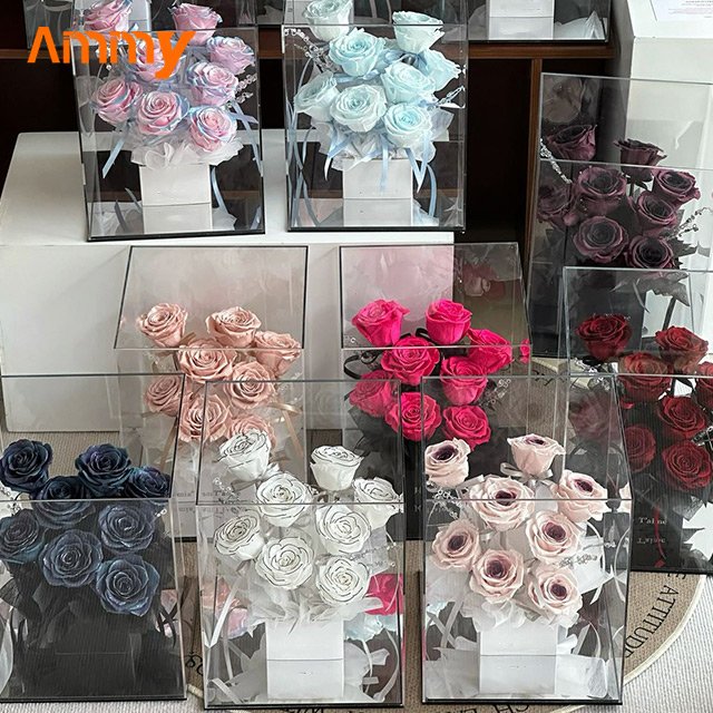 AM-PFE73 Ammy Luxury Gift Eternal Flower Rose Garden gift box preserved Rose in Acrylic Box Valentine's Day gifts