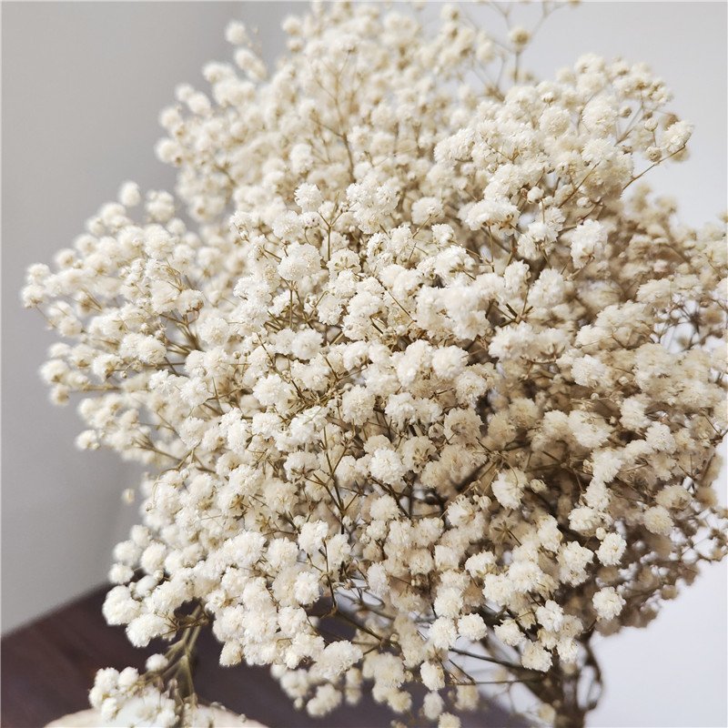 Preserved Baby's Breath Flower for Wedding 1 Bundle of 100-120g Handicraft Arrangement for Household Use