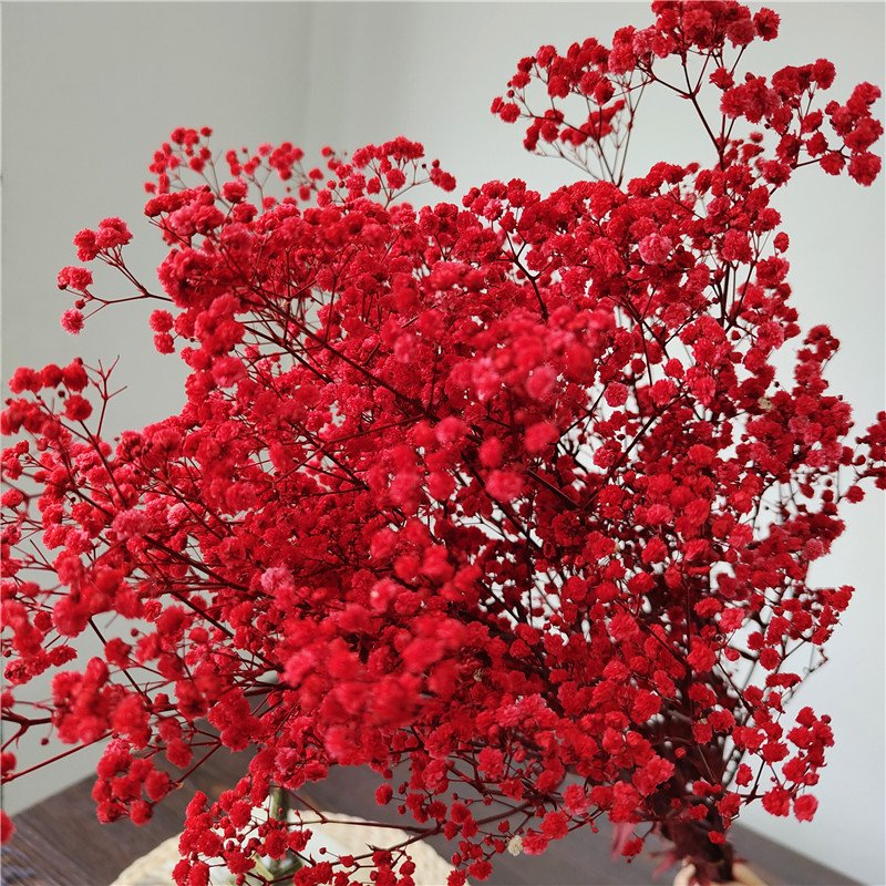 Preserved Baby's Breath Flower for Wedding 1 Bundle of 100-120g Handicraft Arrangement for Household Use