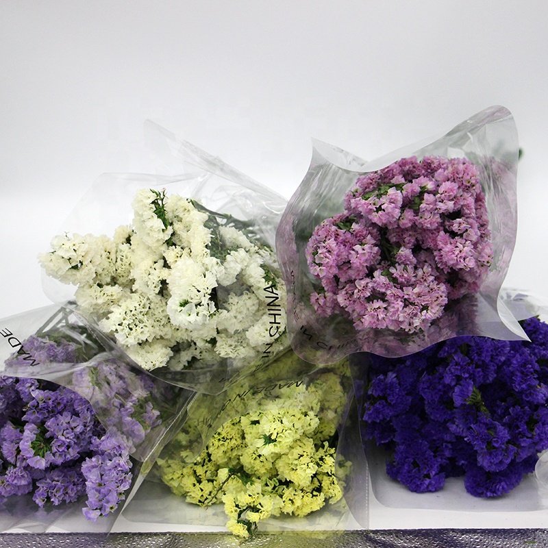 sale china wholesale price real fresh natural preserved flowers and plants forget me not flower