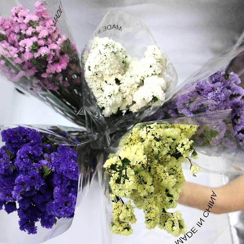 sale china wholesale price real fresh natural preserved flowers and plants forget me not flower