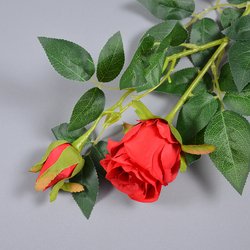 05