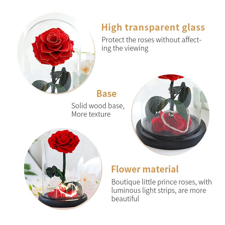 YS-015 Wholesale valentines day gift Real in Glass Dome Roses Never Withered Flower Preserved Flowers Preserved Rose In Glass