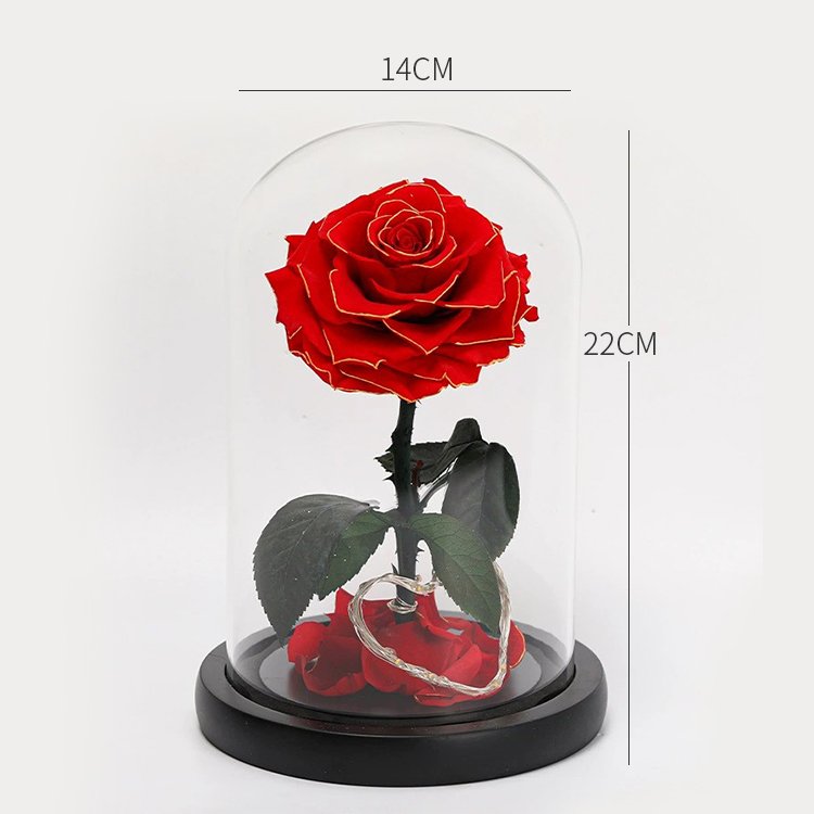 YS-015 Wholesale valentines day gift Real in Glass Dome Roses Never Withered Flower Preserved Flowers Preserved Rose In Glass